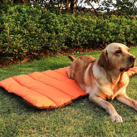 tapis chien exterieur
