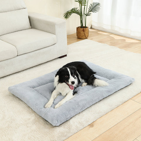 tapis chien gris