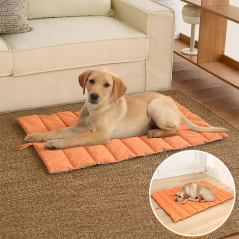 tapis chien harmonieux