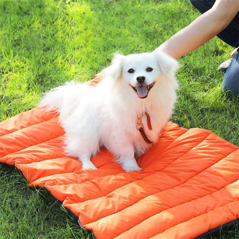 tapis chien imperméable