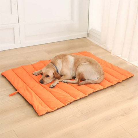 tapis chien nomade