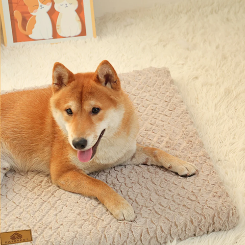 tapis chien orthopédique