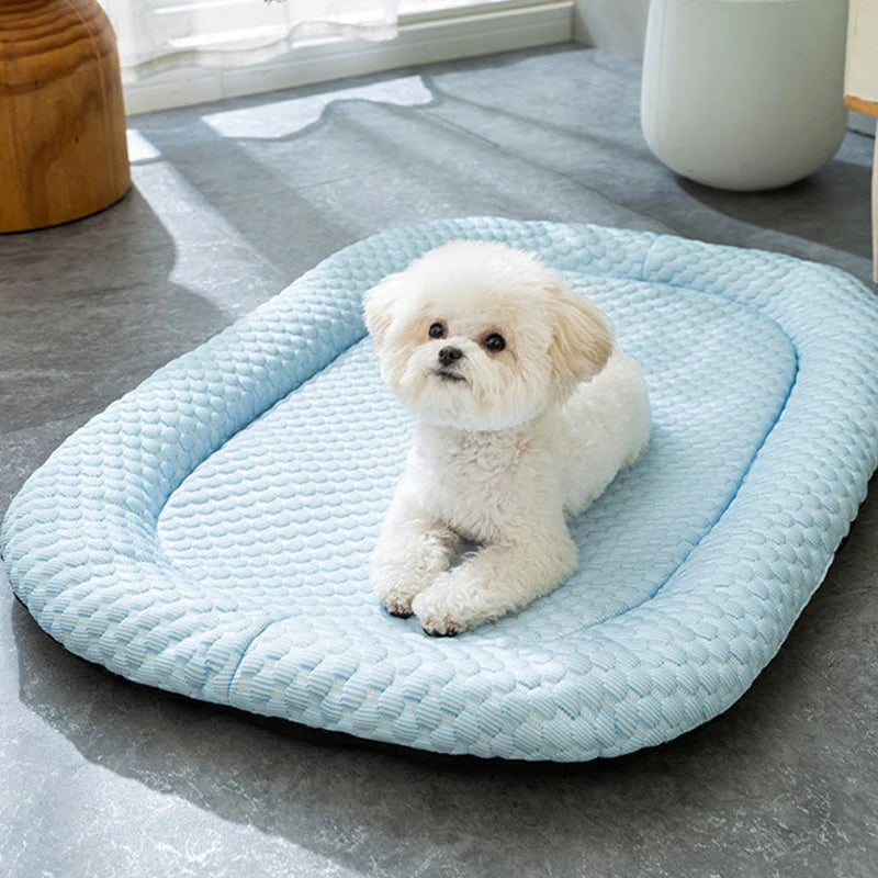 tapis chien rafraichissant caniche blanc