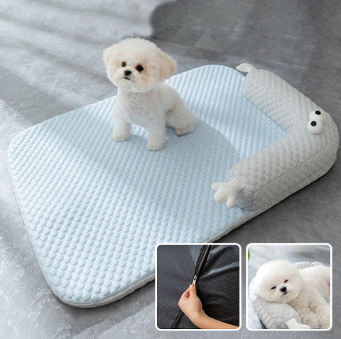 tapis chien rafraichissant déhoussable