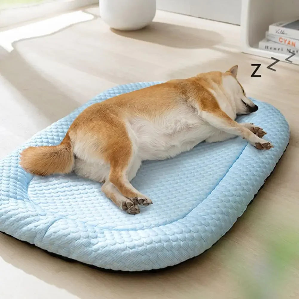 tapis chien rafraichissant doux pour la peau