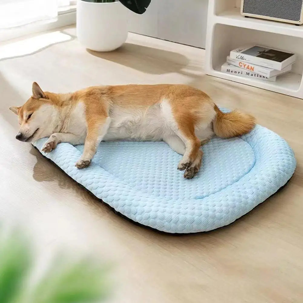tapis chien rafraichissant soulage les douleurs musculaires