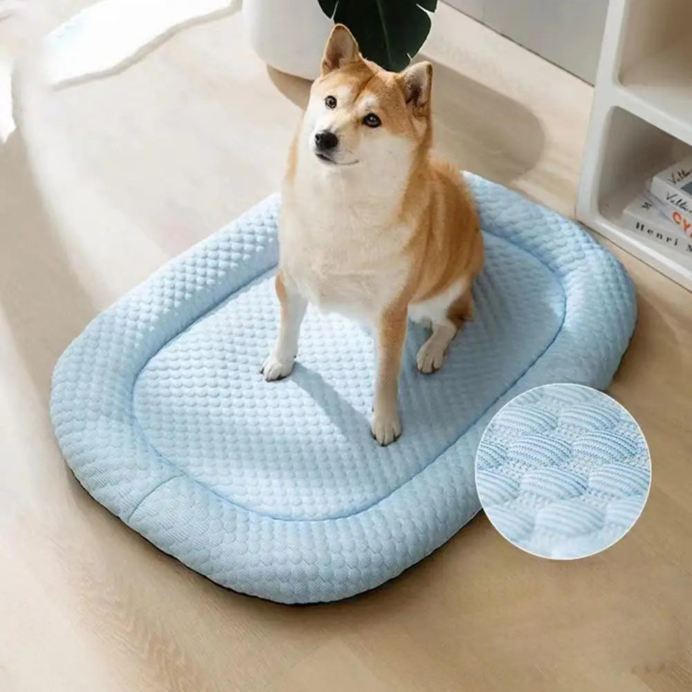 tapis chien rafraichissant tissu frais