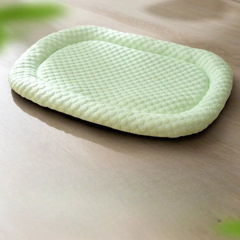 tapis chien rafraichissant vert