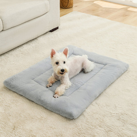 tapis chien petite taille