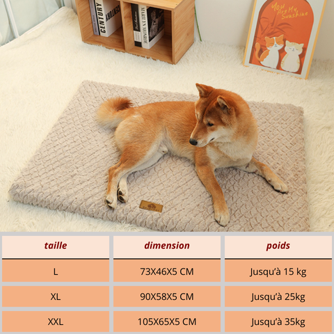tapis chien taille.