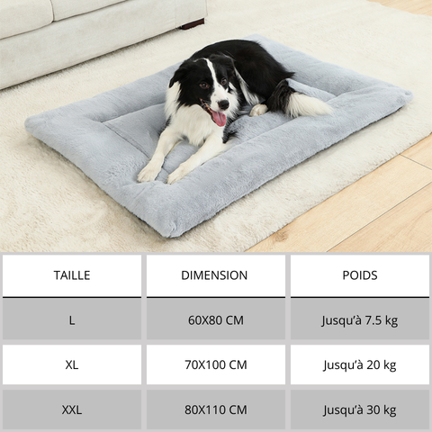 tapis chien taille