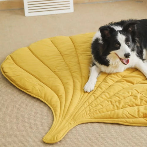 tapis pour chien border collie