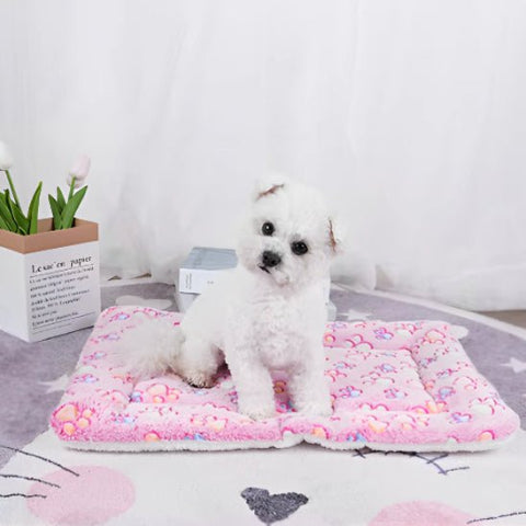 tapis pour chien chien blanc
