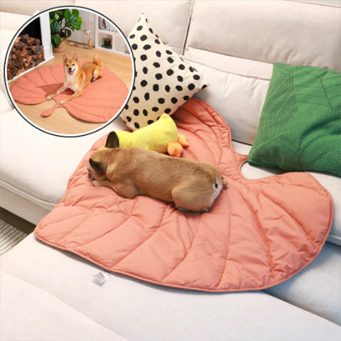tapis pour chien confortable