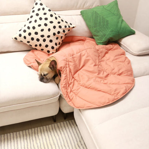 tapis pour chien feuille