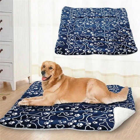 tapis pour chien labrador