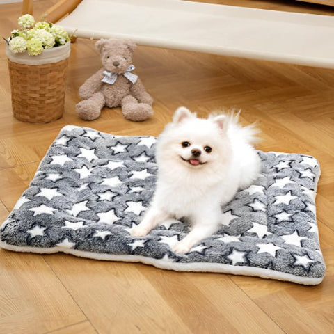 tapis pour chien léger transportable