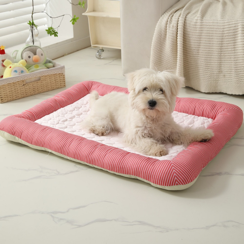 tapis rafraichissant pour chien soulage les articulations