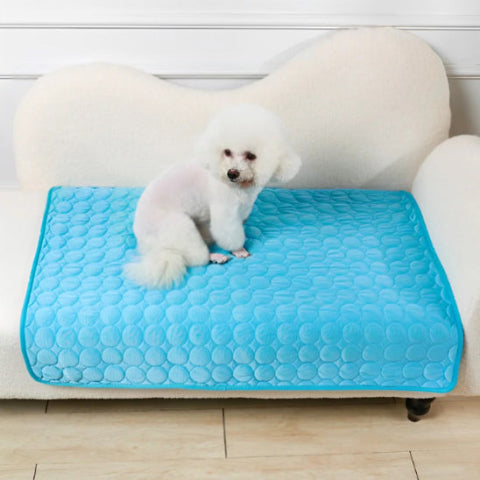 tapis rafraichissant chien bleu