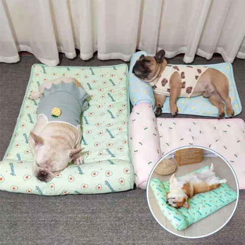 tapis rafraichissant chien bouledogue