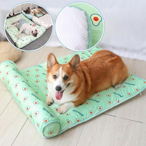 tapis rafraichissant chien coton