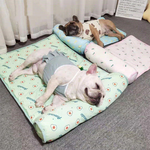 tapis rafraichissant chien frais