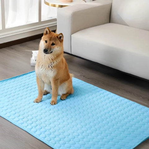 tapis rafraichissant chien grande taille