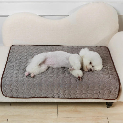 tapis rafraichissant chien qui régule la température