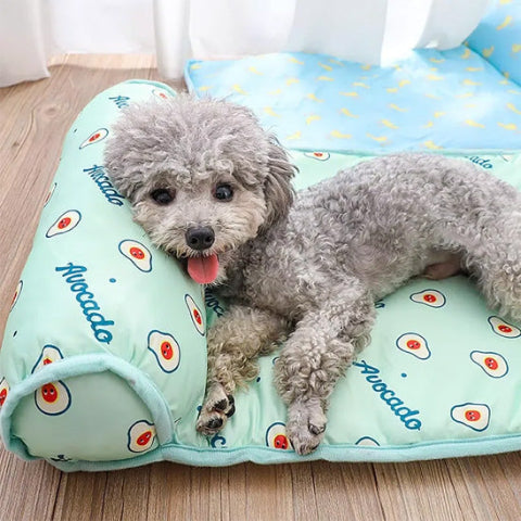 tapis rafraichissant chien