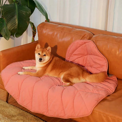 tapis pour chien protÚge canapé