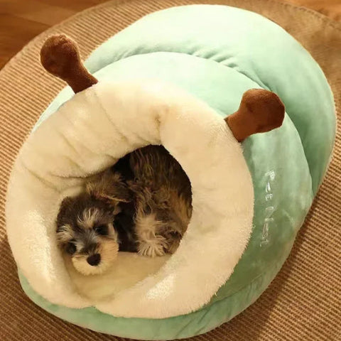 Comprendre le sommeil de votre chien : Quel est son vrai rythme ?