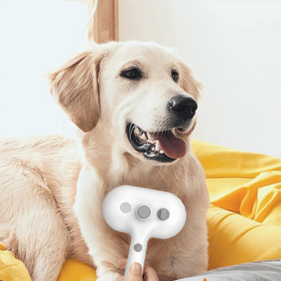 Brosse pour chien
