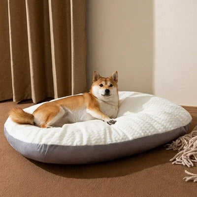 COUSSIN CHIEN - Confort du chien