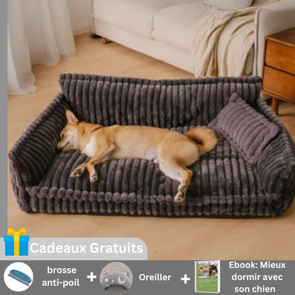Canape chien | Buzz