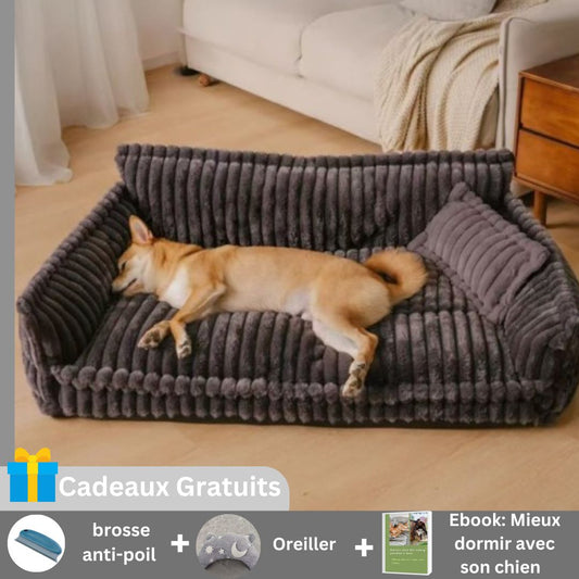 Canape chien | Buzz