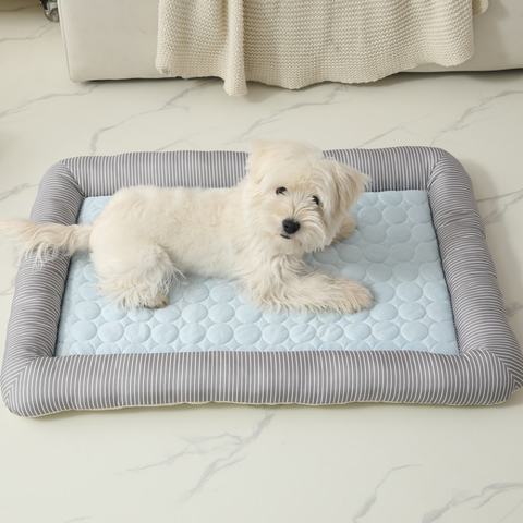 tapis rafraichissant pour chien léger
