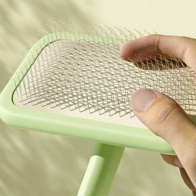 brosse pour chien picot acier 