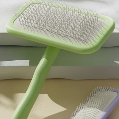 brosse pour chien tête large