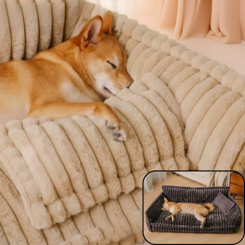 canape chien appuis tête