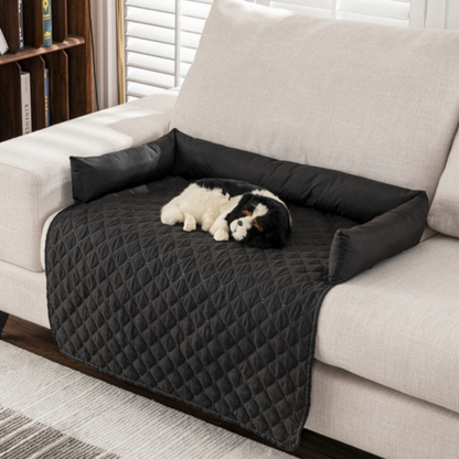 canapé chien chien qui dort 