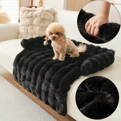 canape chien épais 