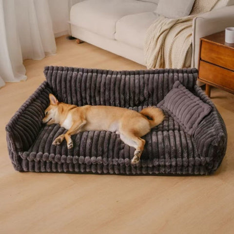 canape chien gris rayé
