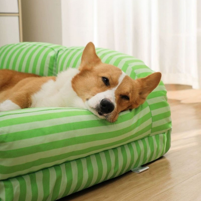 canape chienrepose tete