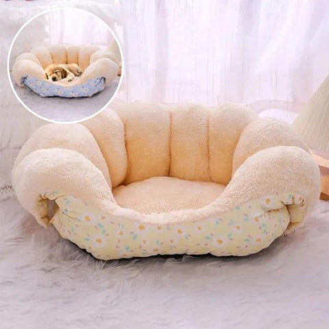 canape pour chien coquillage