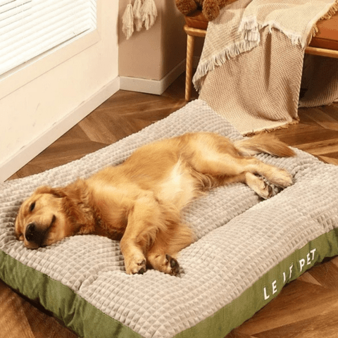 coussin pour chien déhoussable vert