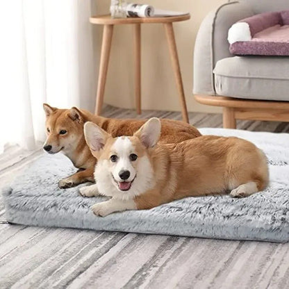 Coussin pour chien chien double