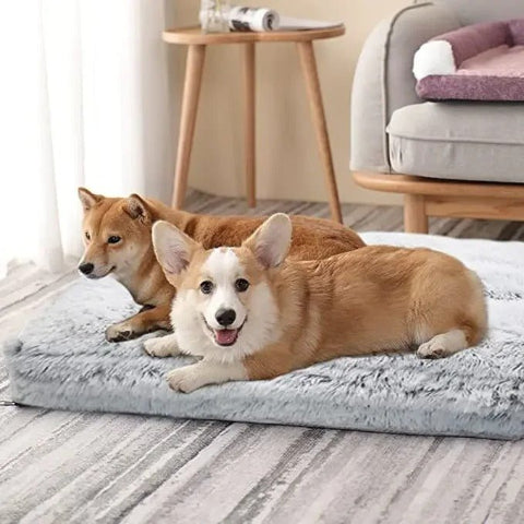 Coussin pour chien chien double