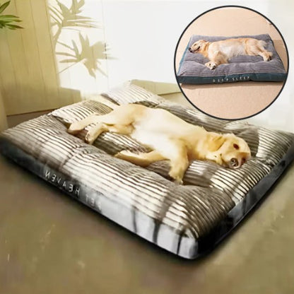 Coussin pour chien chien en détente 