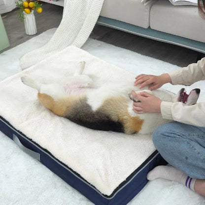 Coussin pour chien déhoussable confortable