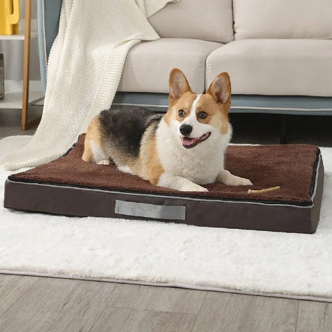Coussin pour chien déhoussable marron